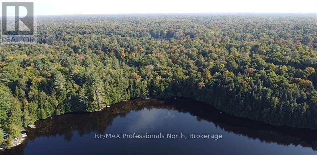 3 Stone Gate Lane, Bracebridge, Ontario  P1L 1X3 - Photo 11 - X12855204