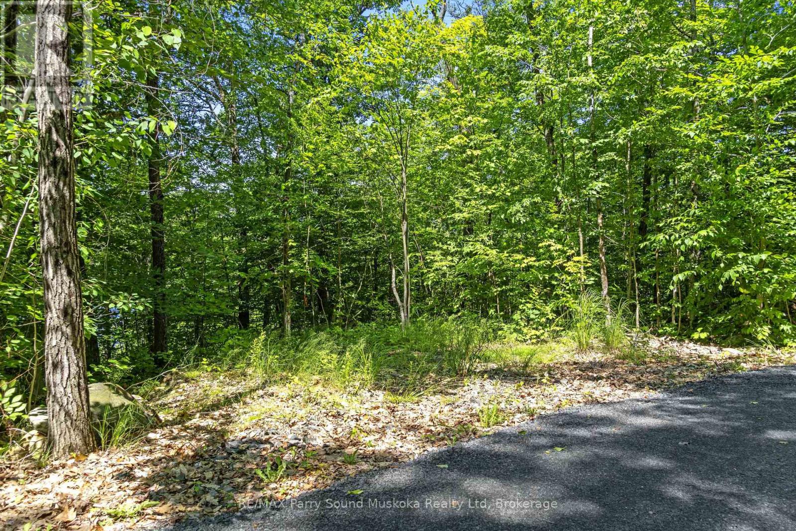 38 Fun Cottage Lane, Mcdougall, Ontario  P2A 2W7 - Photo 11 - X12857882