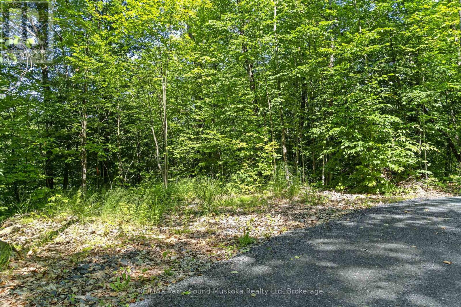 38 Fun Cottage Lane, Mcdougall, Ontario  P2A 2W7 - Photo 8 - X12857882