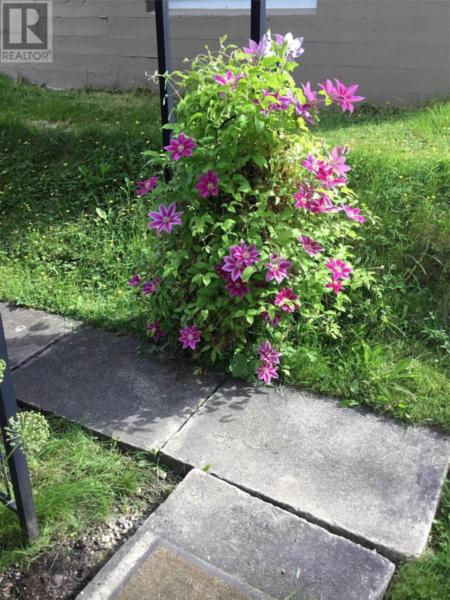 48 Brookfield Avenue, Corner Brook, Newfoundland & Labrador  A2H 2R3 - Photo 26 - 1294933