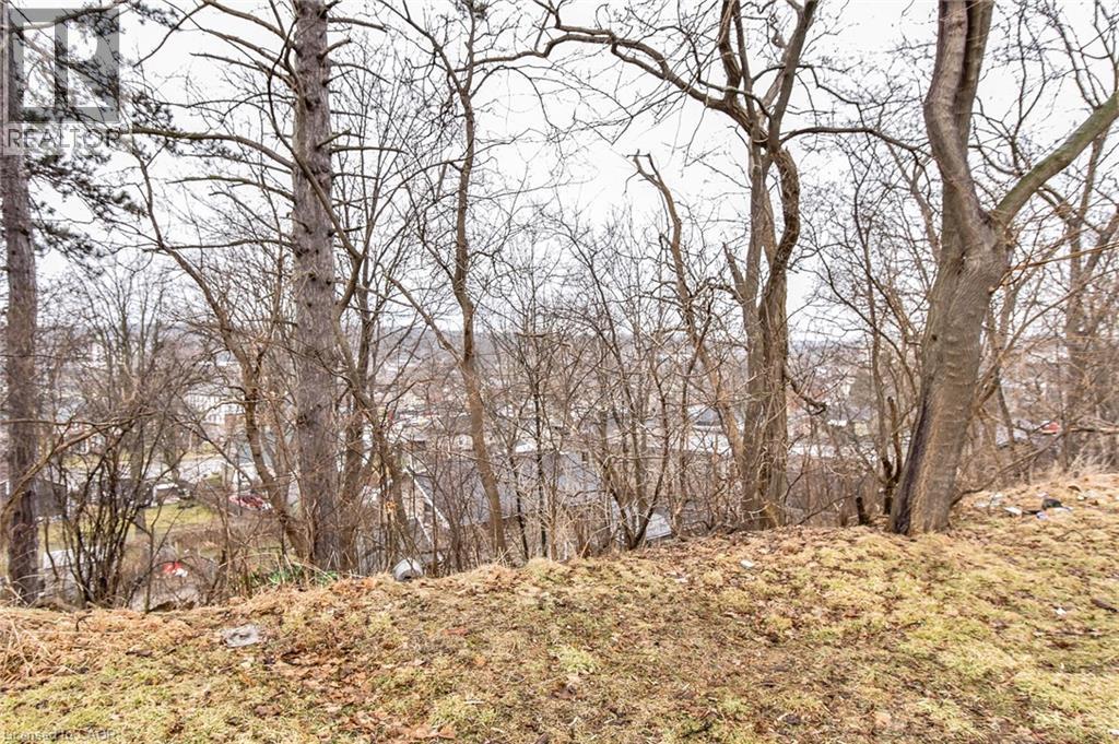 20 Elliott Street, Cambridge, Ontario  N1R 2J2 - Photo 13 - 40807254