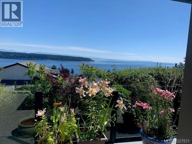 253 Alder St S, Campbell River, British Columbia  V9W 2M9 - Photo 5 - 1027831