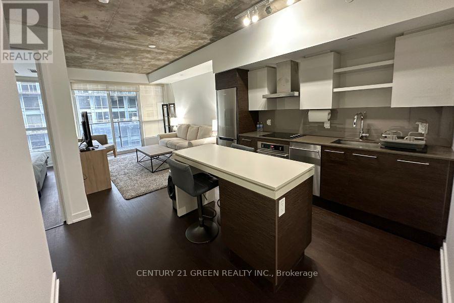 541 - 1030 King Street W, Toronto, Ontario  M6K 0B4 - Photo 10 - C12858136