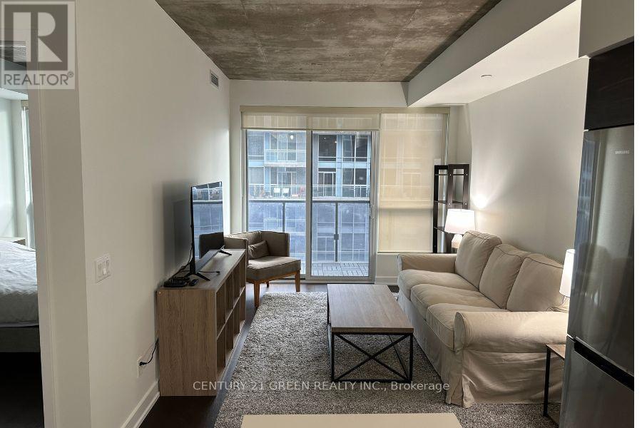 541 - 1030 King Street W, Toronto, Ontario  M6K 0B4 - Photo 13 - C12858136