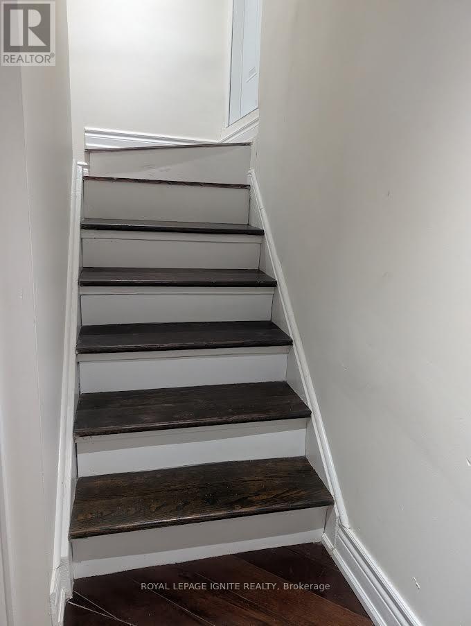 BSMNT - 54 MCINNES CRESCENT, Toronto, Ontario