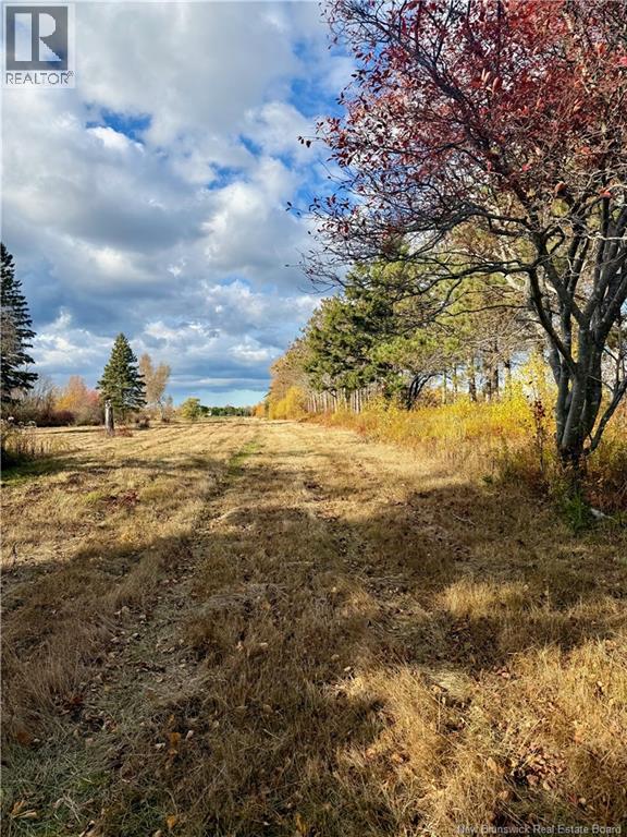 Lot Route 960, Cape Spear, New Brunswick  E4M 0C8 - Photo 6 - NB134335