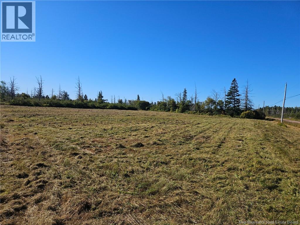 Lot Route 960, Cape Spear, New Brunswick  E4M 0C8 - Photo 15 - NB134335