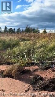Lot Route 960, Cape Spear, New Brunswick  E4M 0C8 - Photo 18 - NB134335