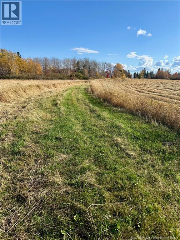 Lot Route 960, Cape Spear, New Brunswick  E4M 0C8 - Photo 3 - NB134335