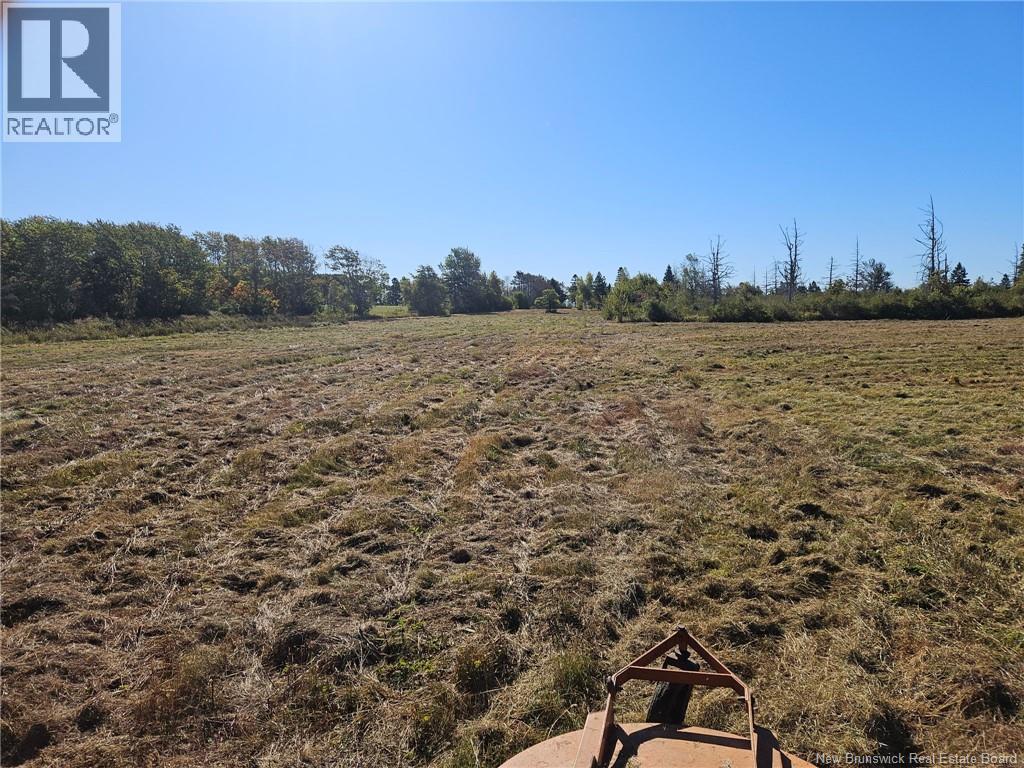 Lot Route 960, Cape Spear, New Brunswick  E4M 0C8 - Photo 17 - NB134335