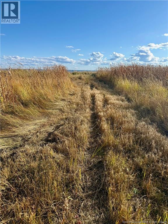 Lot Route 960, Cape Spear, New Brunswick  E4M 0C8 - Photo 7 - NB134335