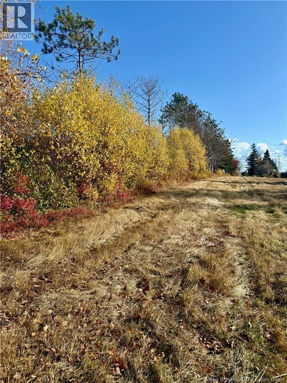 Lot Route 960, Cape Spear, New Brunswick  E4M 0C8 - Photo 4 - NB134335