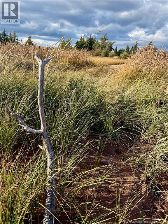 Lot Route 960, Cape Spear, New Brunswick  E4M 0C8 - Photo 8 - NB134335