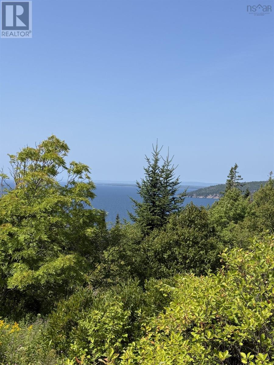 Benacadie West Road, Benacadie West, Nova Scotia  B1T 1H2 - Photo 10 - 202520162