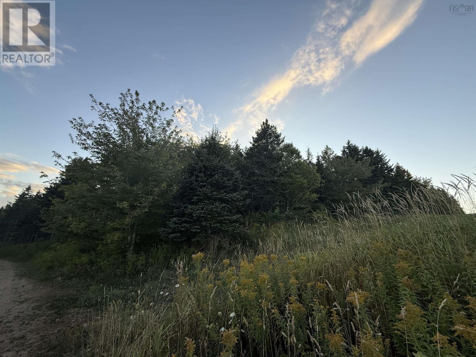 Hillside Road, Southside Boularderie, Nova Scotia  B1Y 2R2 - Photo 3 - 202522204