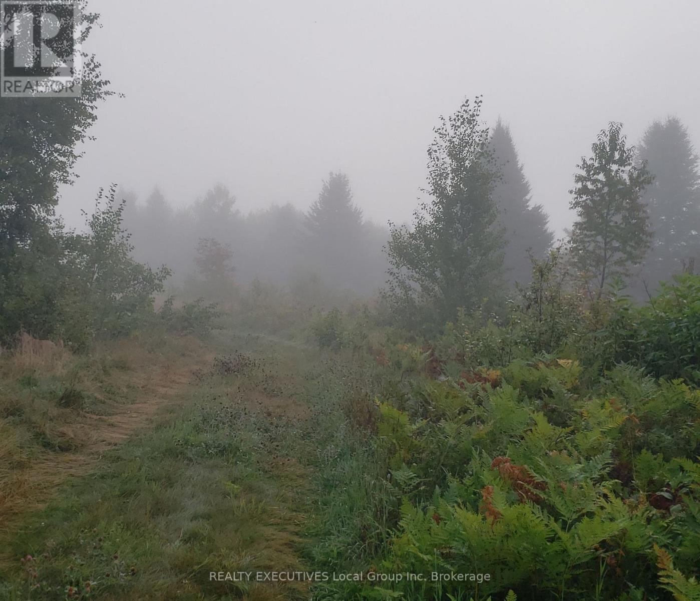 512 Mount Pleasant Road, Calvin, Ontario P0H 2E0 - Photo 46 - X12846146