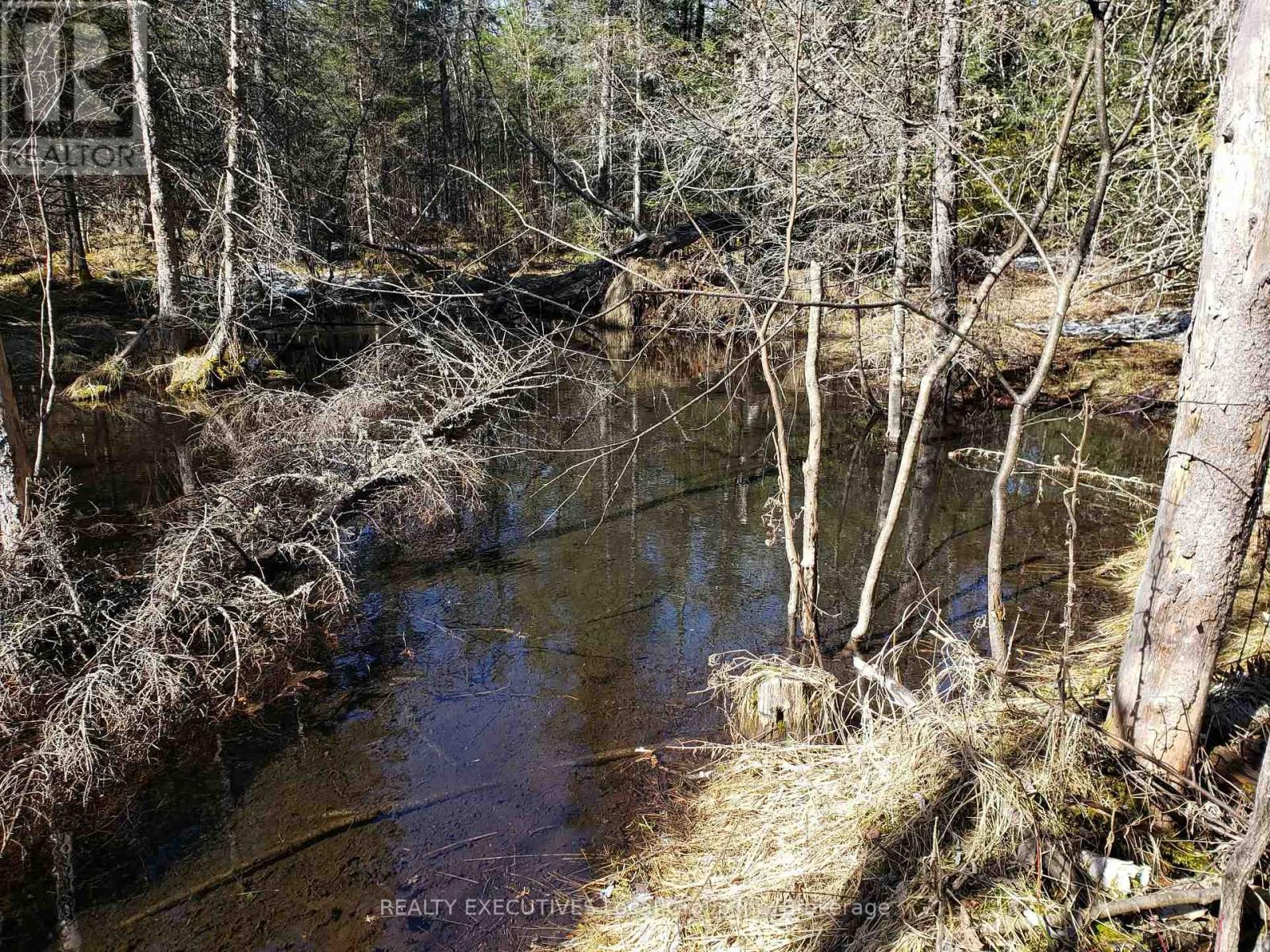 512 Mount Pleasant Road, Calvin, Ontario P0H 2E0 - Photo 50 - X12846146