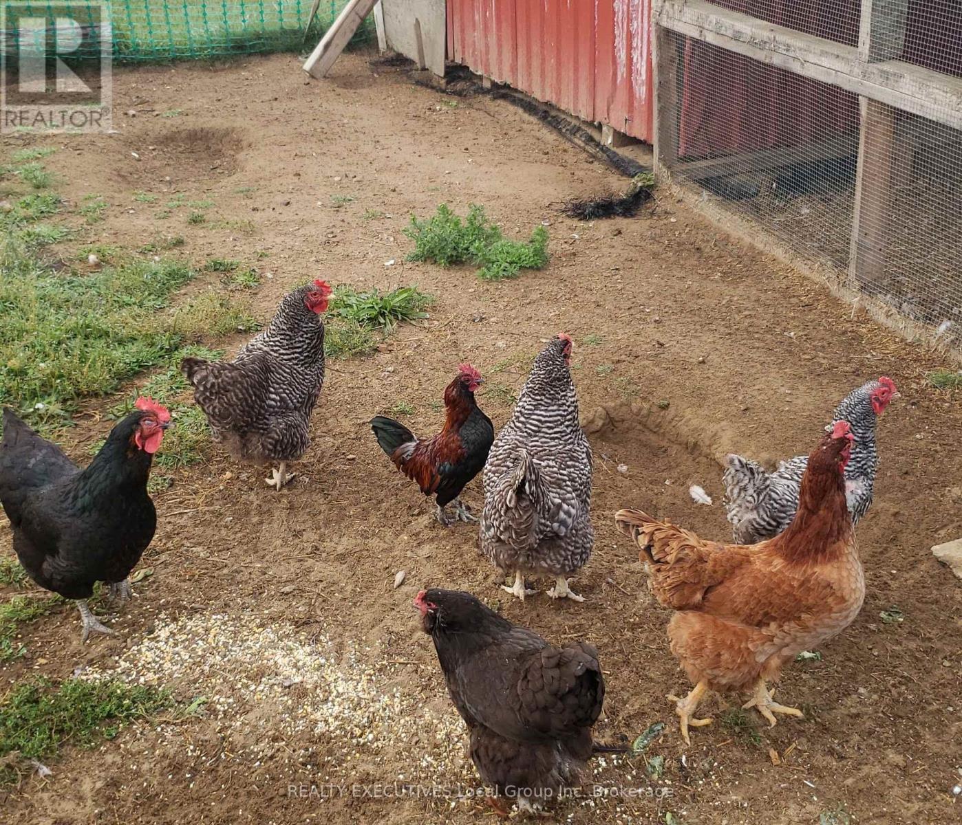 512 Mount Pleasant Road, Calvin, Ontario P0H 2E0 - Photo 49 - X12846146