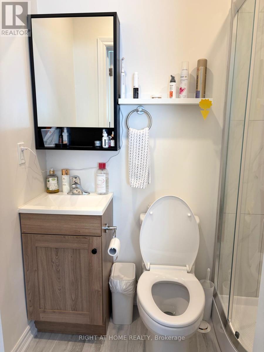 41 Rouge Street, Markham (Vinegar Hill), Ontario  L3P 1K7 - Photo 12 - N12858286