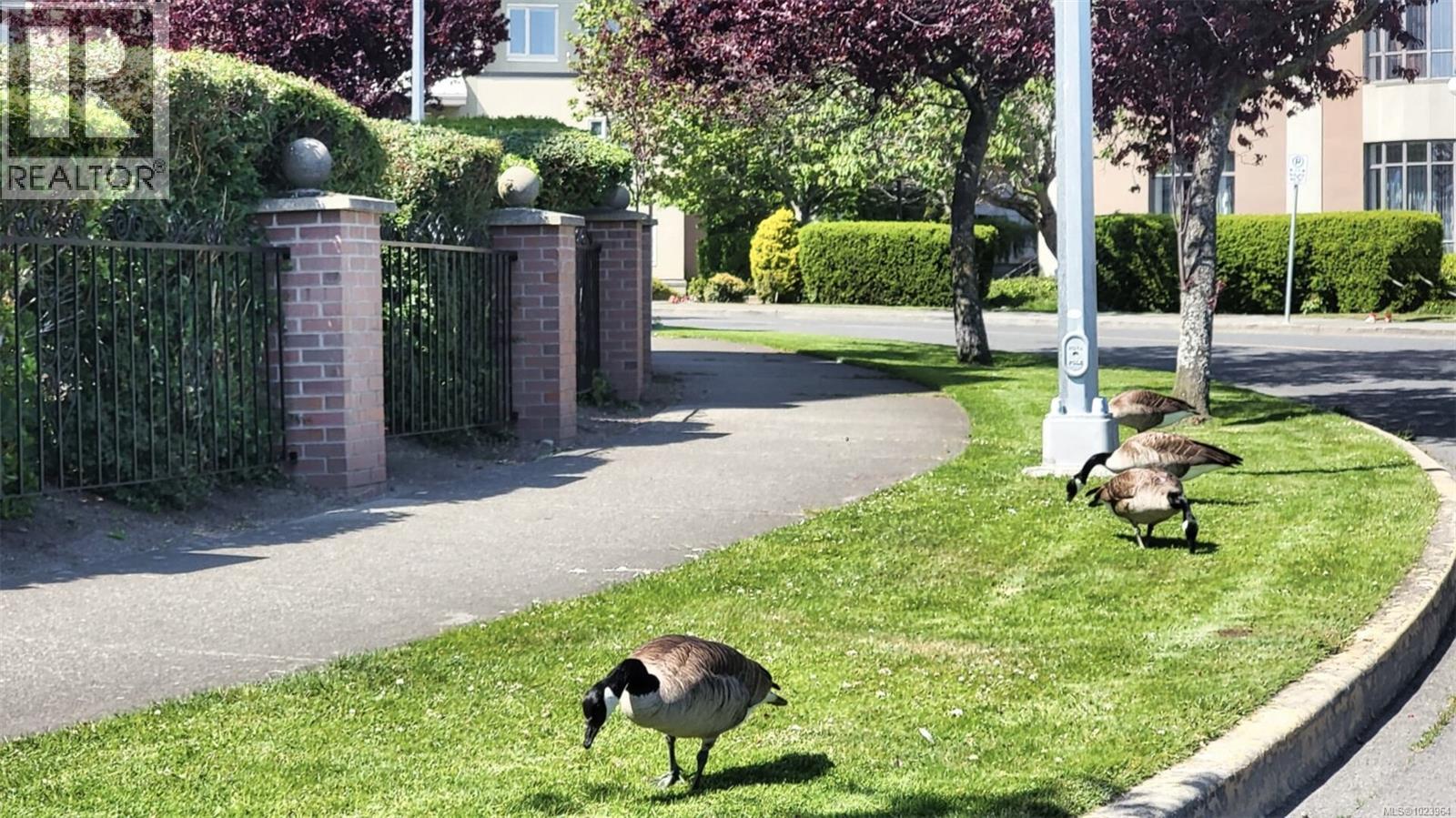 516 50 Songhees Rd, Victoria, British Columbia  V9A 7J4 - Photo 48 - 1023964