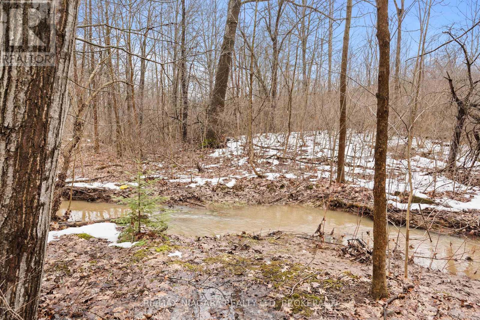 111 Pearson Road, Welland, Ontario  L3B 5N4 - Photo 42 - X12858414