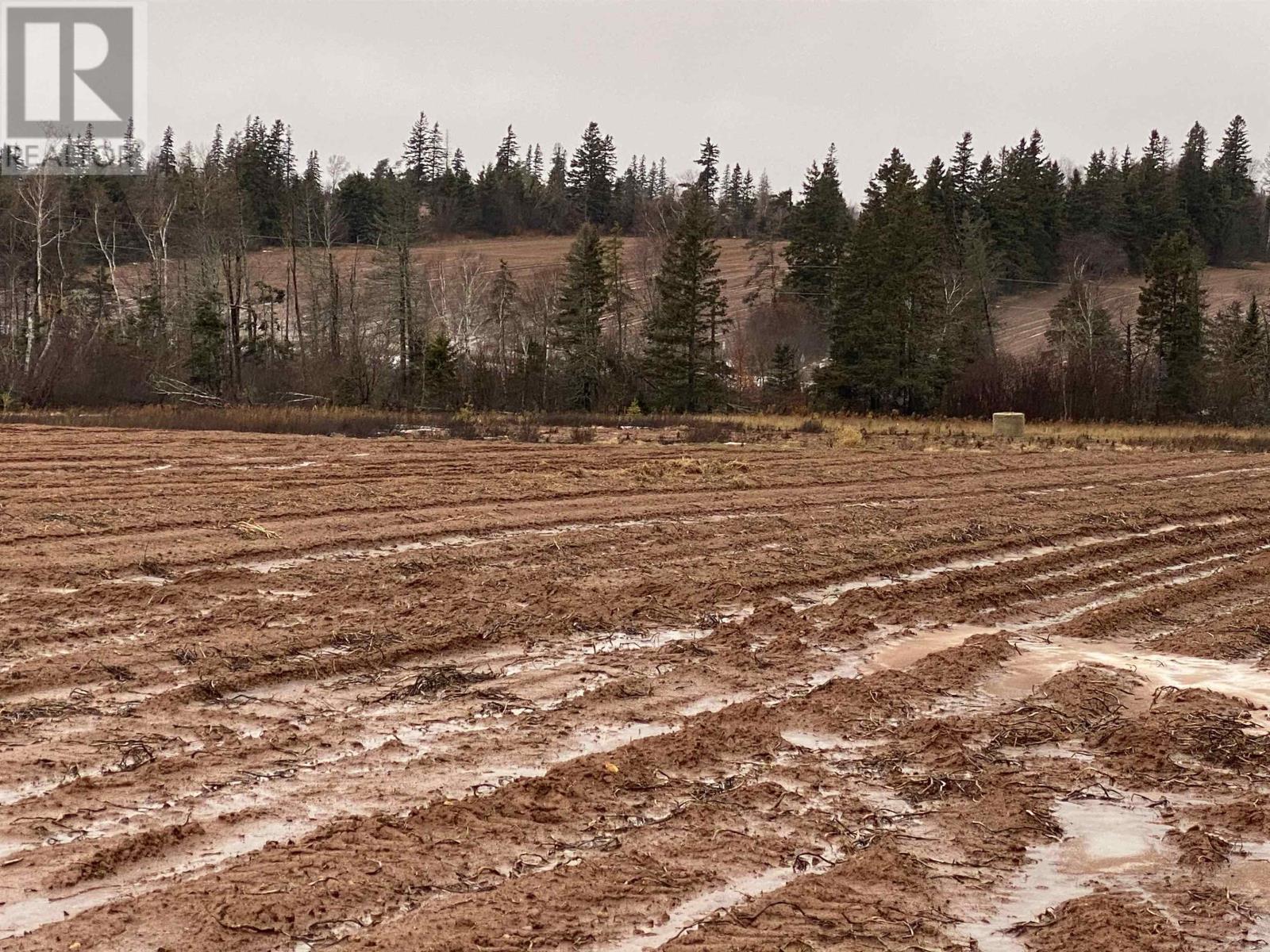 Scales Pond Rd, Freetown, Prince Edward Island  C0B 1N0 - Photo 2 - 202604091