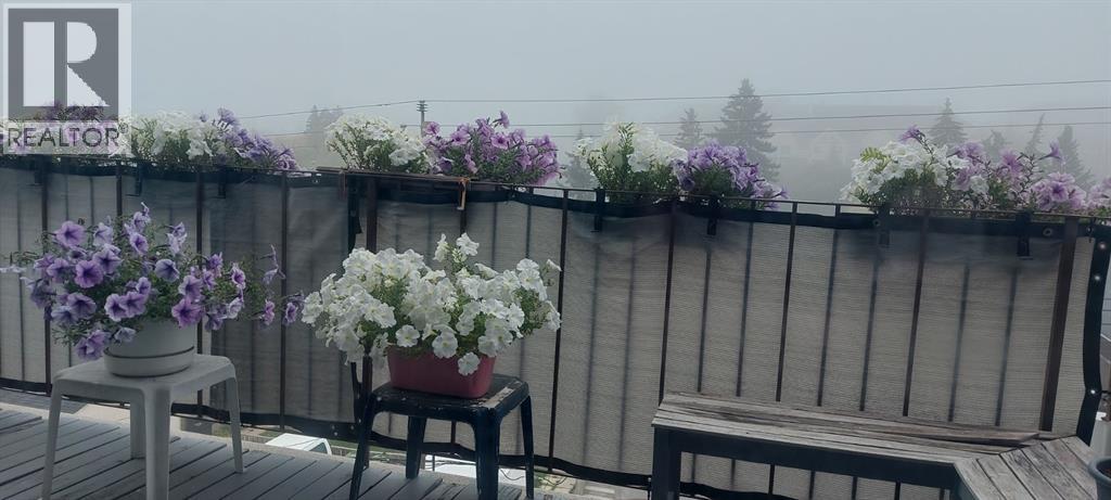 303, 1633 26 Avenue Sw, Calgary, Alberta  T2T 2C7 - Photo 40 - A2281801