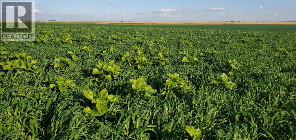 Hyw 24, Rural Vulcan County, Alberta  T0J 0M0 - Photo 2 - A2286473