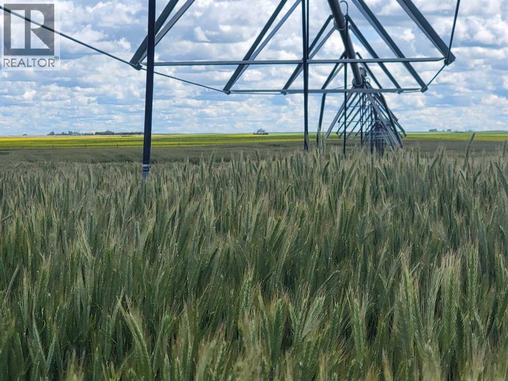 Hyw 24, Rural Vulcan County, Alberta  T0J 0M0 - Photo 3 - A2286473