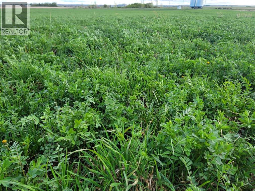 Hyw 24, Rural Vulcan County, Alberta  T0J 0M0 - Photo 9 - A2286473