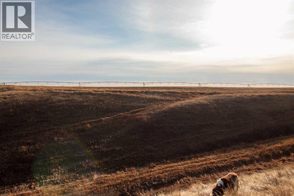 Hyw 24, Rural Vulcan County, Alberta  T0J 0M0 - Photo 27 - A2286473