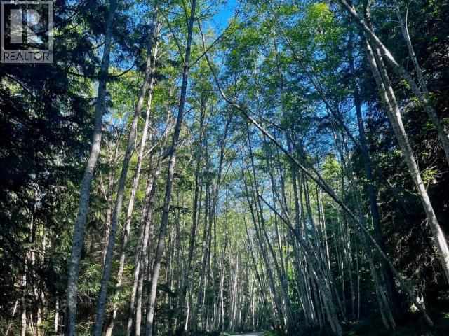 1259 Vancouver Blvd, Savary Island, British Columbia   - Photo 74 - 18959