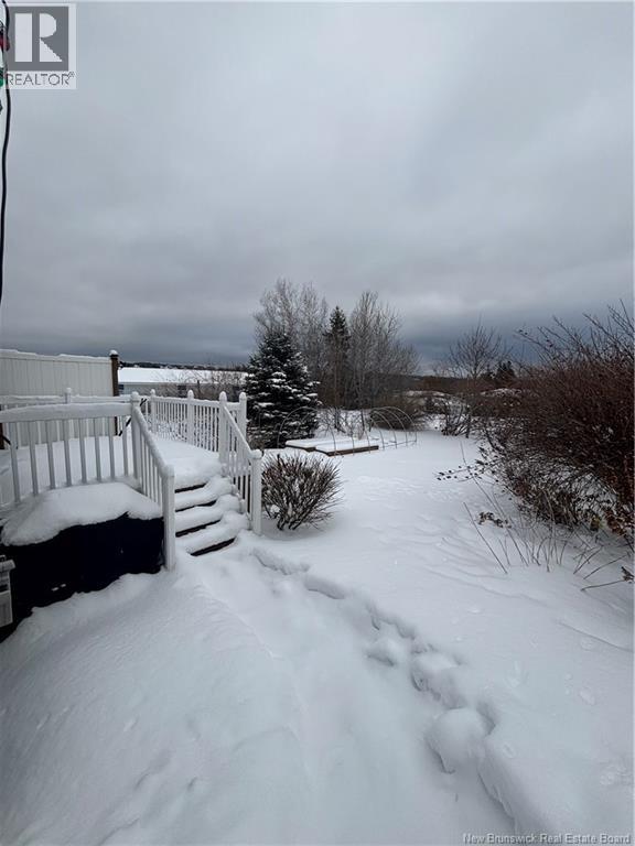 217 Neilson Street, Woodstock, New Brunswick  E7M 2H8 - Photo 34 - NB133655