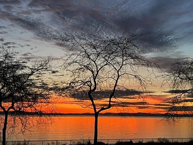 14831 Marine Drive, White Rock, British Columbia  V4B 1C1 - Photo 24 - R3075103