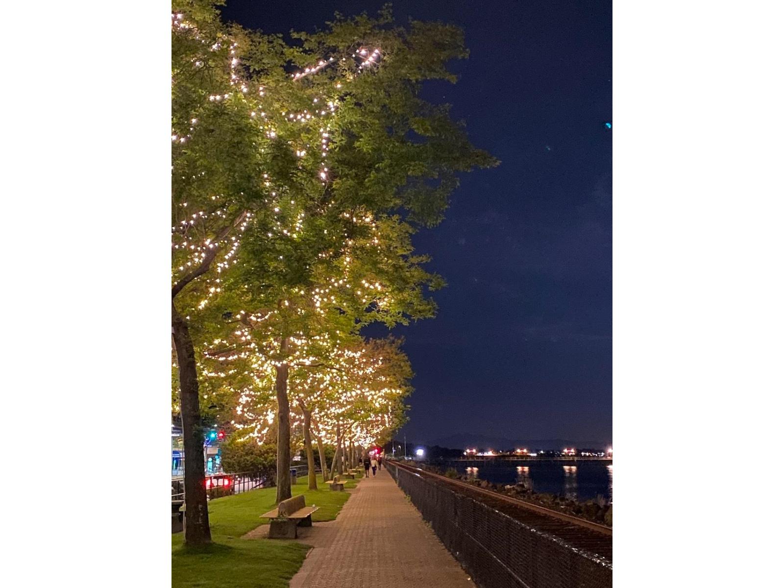 14831 Marine Drive, White Rock, British Columbia  V4B 1C1 - Photo 27 - R3075103