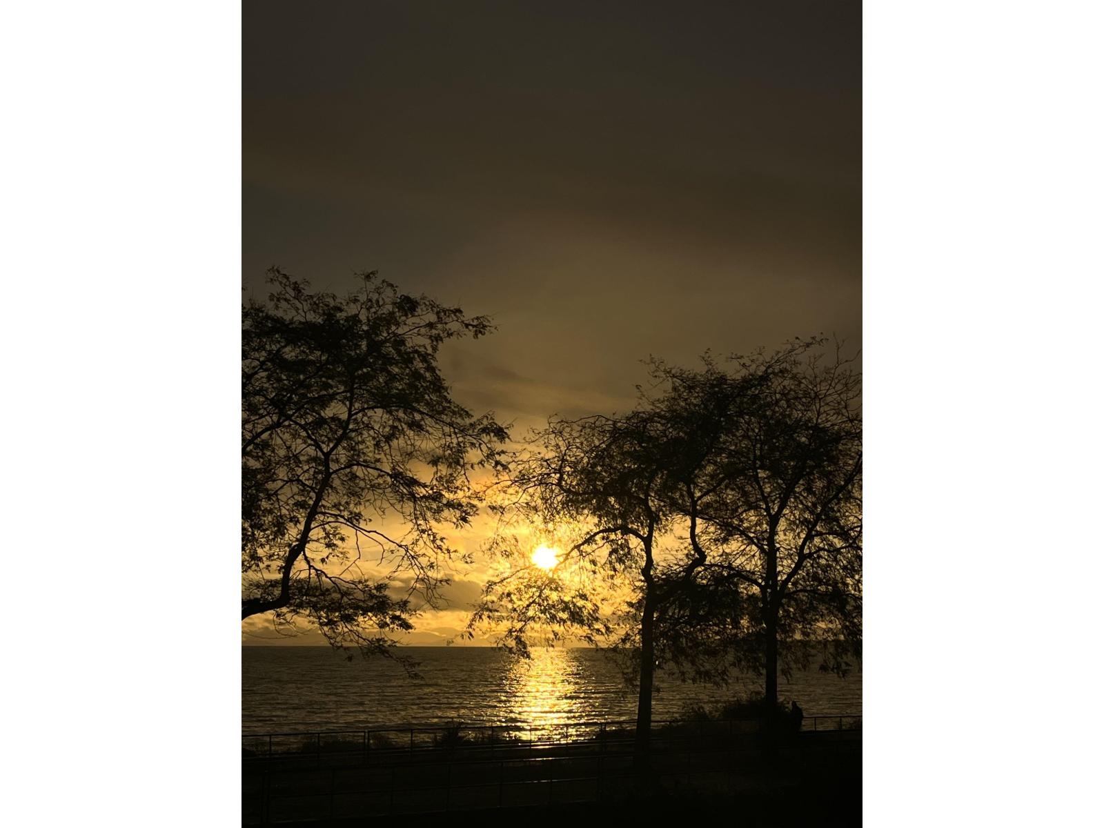 14831 Marine Drive, White Rock, British Columbia  V4B 1C1 - Photo 25 - R3075103