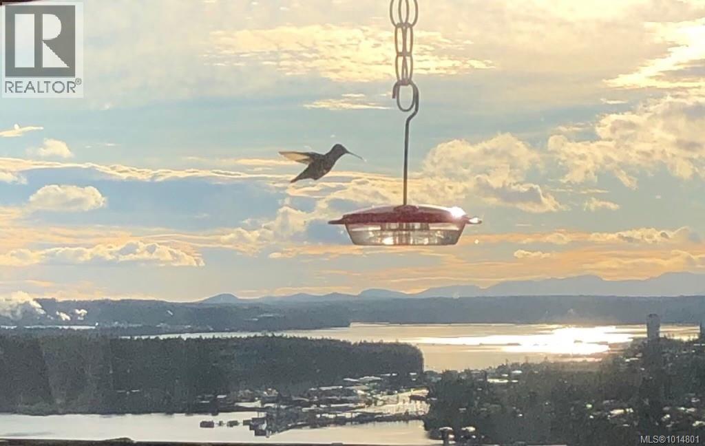 3385 Edgewood Dr, Nanaimo, British Columbia  V9T 5V2 - Photo 40 - 1014801