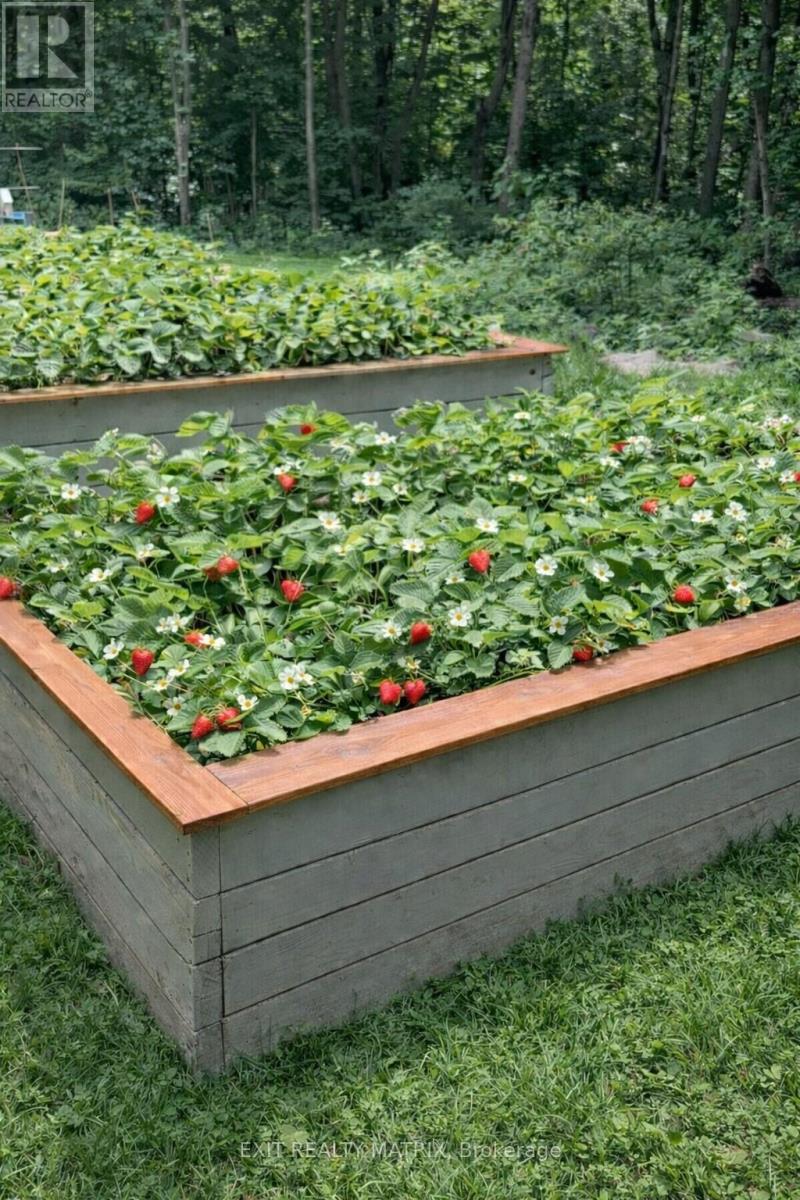 2191 Cassburn Road, Champlain, Ontario  K0B 1K0 - Photo 48 - X12858706