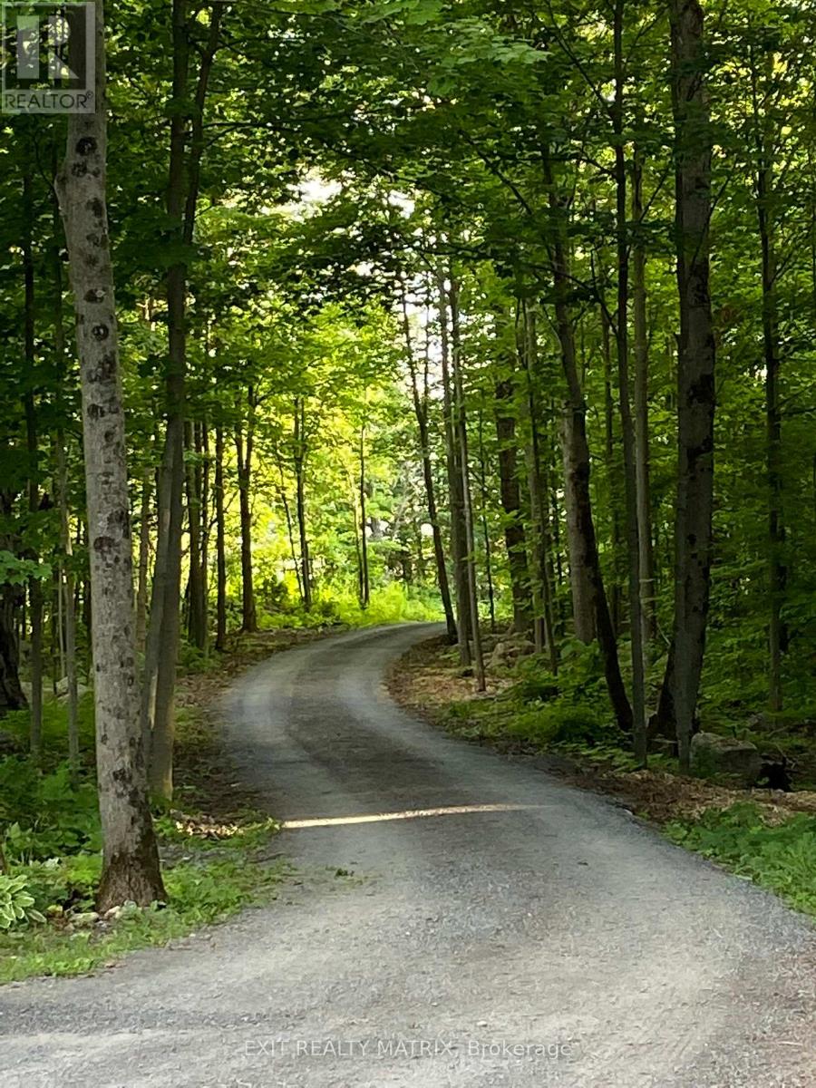 2191 Cassburn Road, Champlain, Ontario  K0B 1K0 - Photo 47 - X12858706