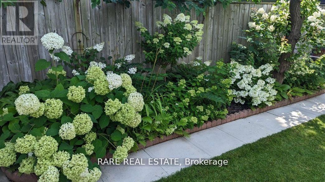 Lower - 40 Lloyd George Avenue, Toronto, Ontario  M8W 3W6 - Photo 21 - W12858834