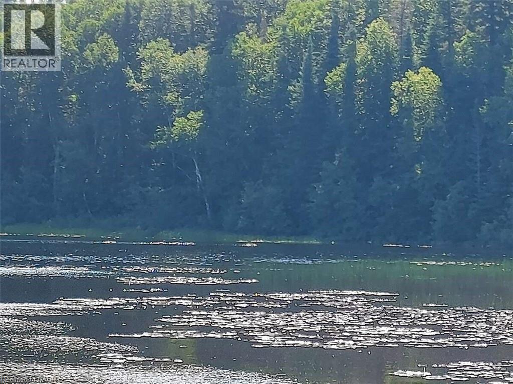 Lot 11 Catfish Lake Road, Wawa, Ontario  P0S 1K0 - Photo 6 - 40725613