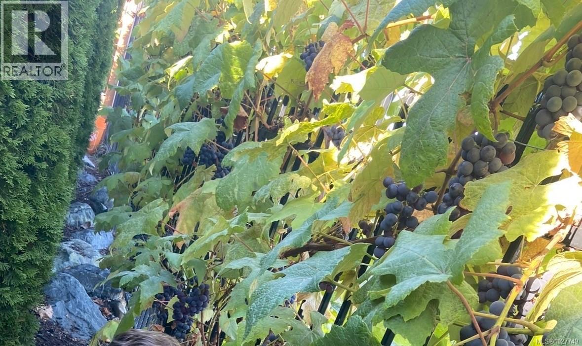 3483 Sparrowhawk Ave, Colwood, British Columbia  V9C 0L8 - Photo 48 - 1027749