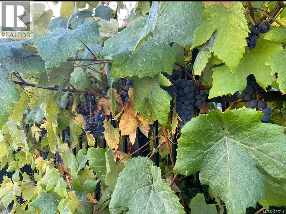 3483 Sparrowhawk Ave, Colwood, British Columbia  V9C 0L8 - Photo 47 - 1027749