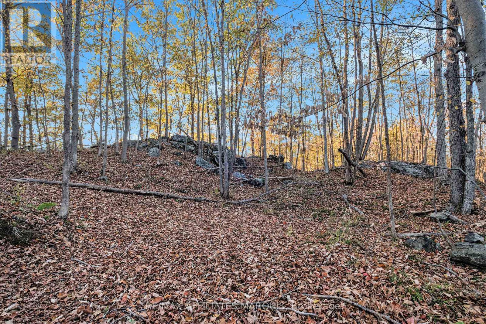 898 Christie Lk N Shr Road, Tay Valley, Ontario  K7H 3C6 - Photo 11 - X12859042