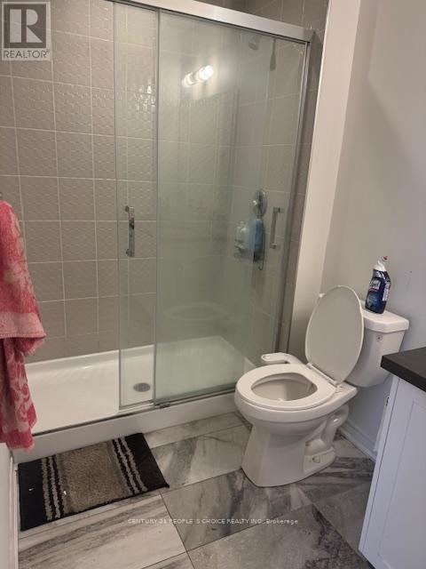 41 Folcroft Street, Brampton, Ontario  L6Y 0B6 - Photo 17 - W12859262