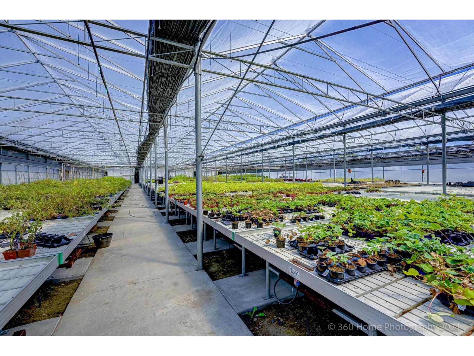 1262 176 Street, Surrey, British Columbia V3Z 9S5 - Photo 35 - R3095959