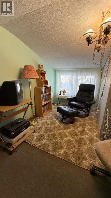 319 5 Avenue W, Hanna, Alberta  T0J 1P0 - Photo 26 - A2273514