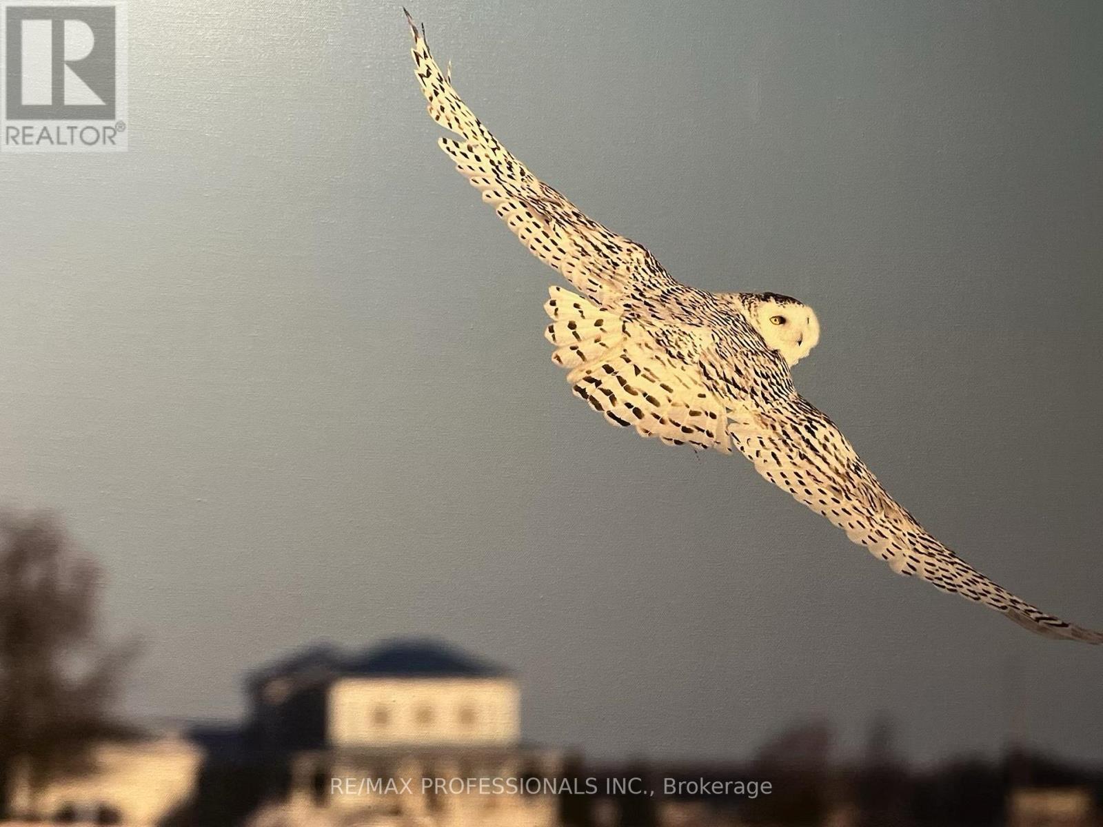 2493 Concession 19 Road, The Nation, Ontario  K0A 1M0 - Photo 47 - X12858872