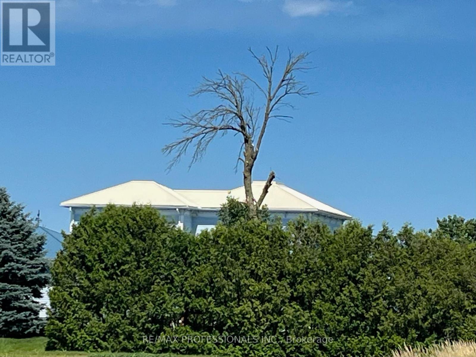 2493 Concession 19 Road, The Nation, Ontario  K0A 1M0 - Photo 45 - X12858872