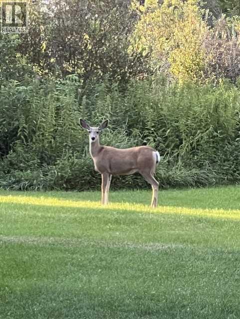 36, 41513 Highway 771, Rural Lacombe County, Alberta  t0c 2j0 - Photo 39 - A2286082
